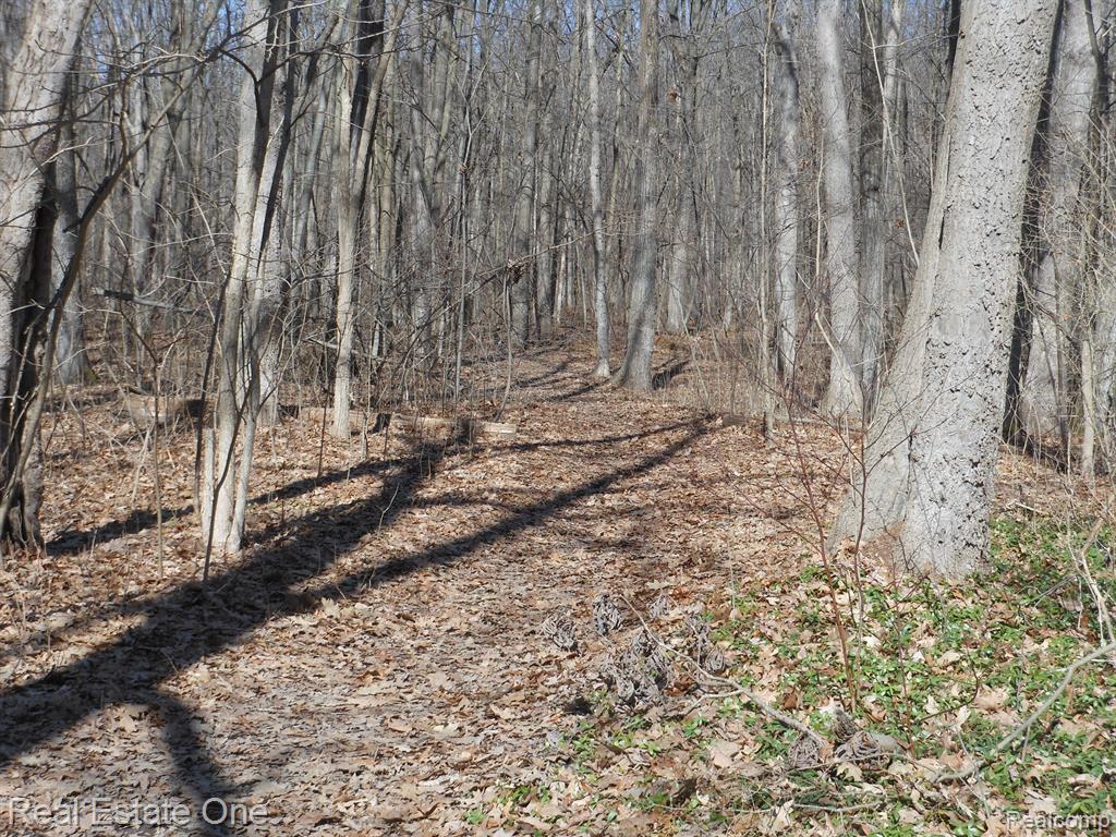 6 Park Ridge Road, White Lake, MI — Photo 19