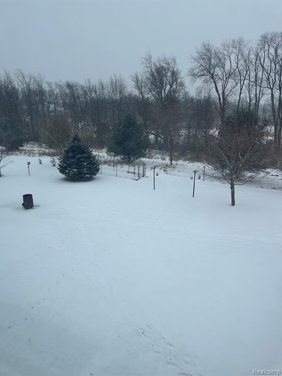 9509 Lee Road, Jackson, MI 49201 — Photo 39