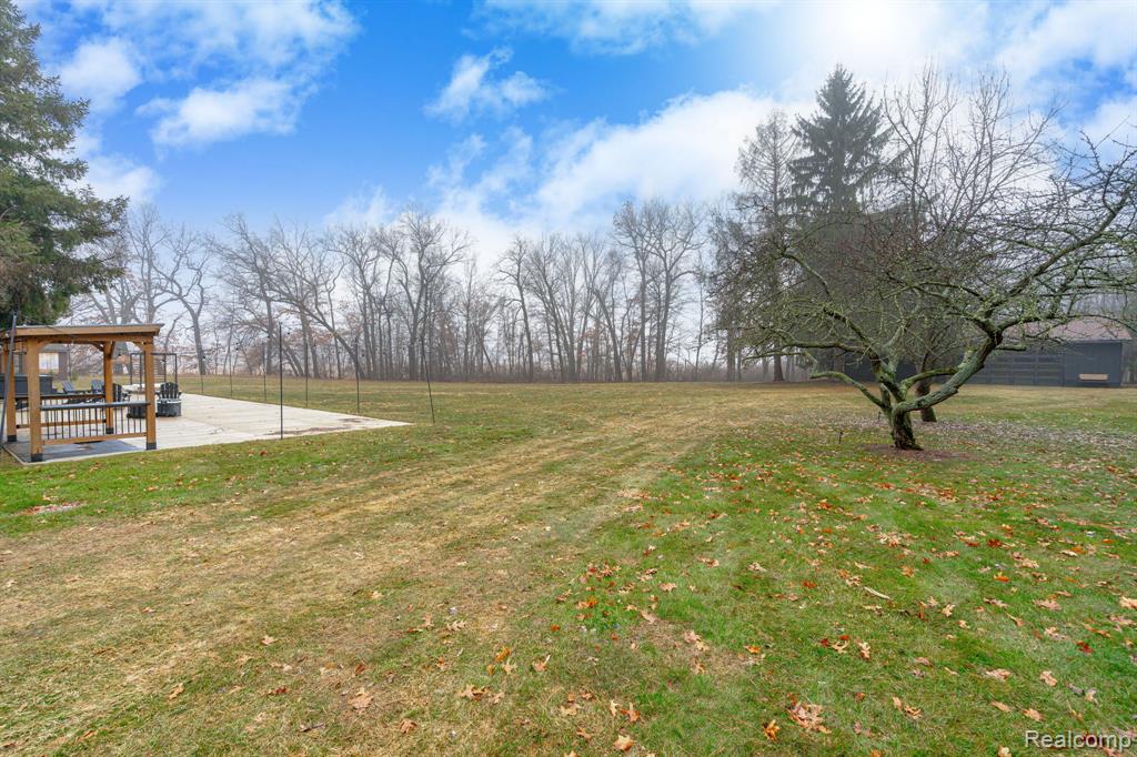 6803 Napoleon Road, Jackson, MI 49201 — Photo 11