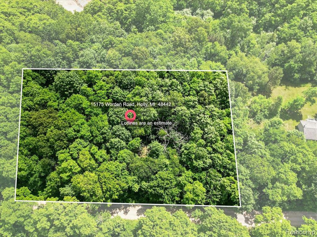 15175 Worden Rd., Holly, MI 48442 — Photo 6