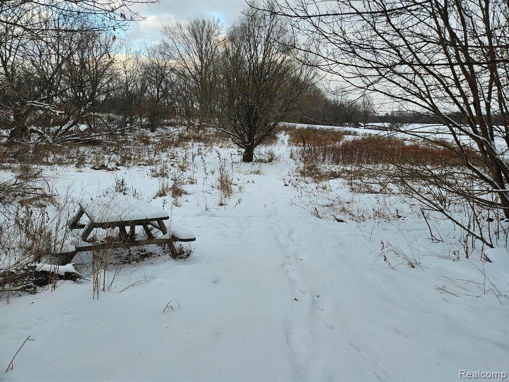 2740 N VAN DYKE Road, Imlay City, MI 48444 — Photo 4
