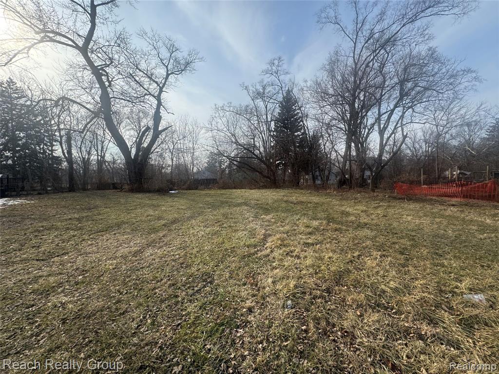 V/L David Street, Hastings, MI, 49058