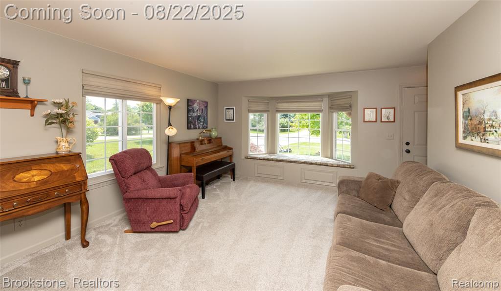 58 LAFAYETTE Street, Oxford, MI 48371 — Photo 26