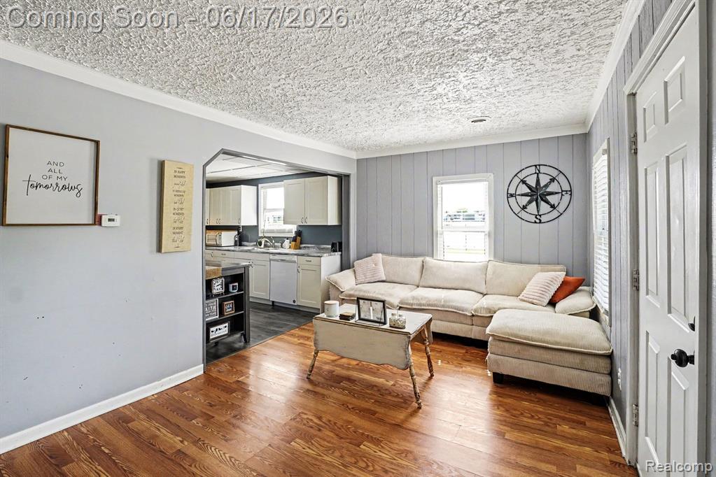651 S Elm Street, Lapeer, MI 48446 — Photo 4