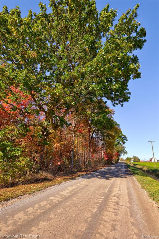 4000 S Reese Road, Frankenmuth, MI 48734 — Photo 14