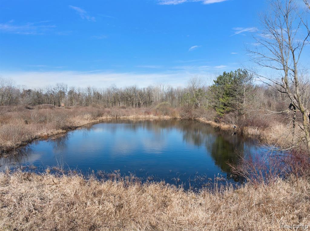 435 Capac Road, Berlin, MI 48002 — Photo 55