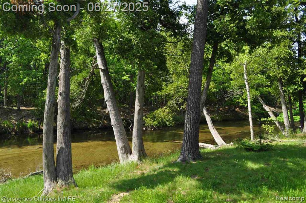 3 Millside, Glen Arbor, MI 49636 — Photo 5