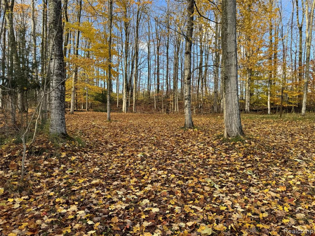 2446 Spayde Road, Charlevoix, MI 49720 — Photo 29
