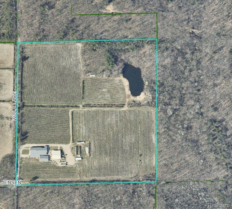 6080 Jensen Road, Fruitport, MI 49415 — Photo 8