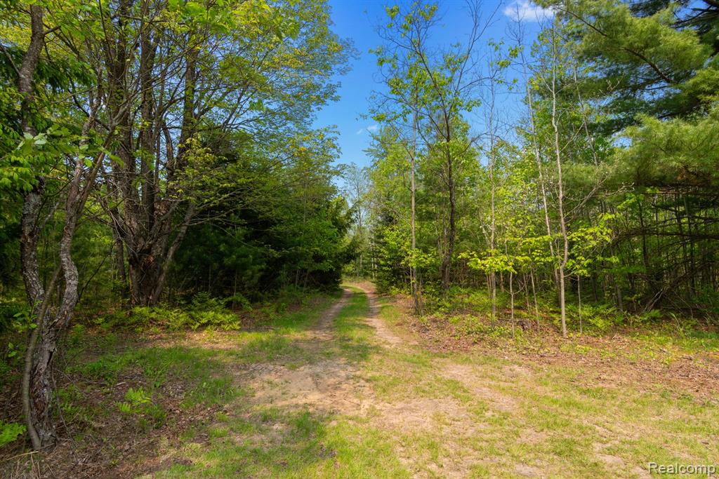 5960 N Trail SE, Kalkaska, MI 49646 — Photo 34