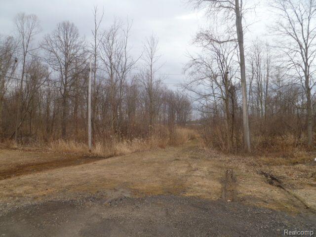 V/L HOPPS Road, Port Huron, MI 48060 — Photo 4