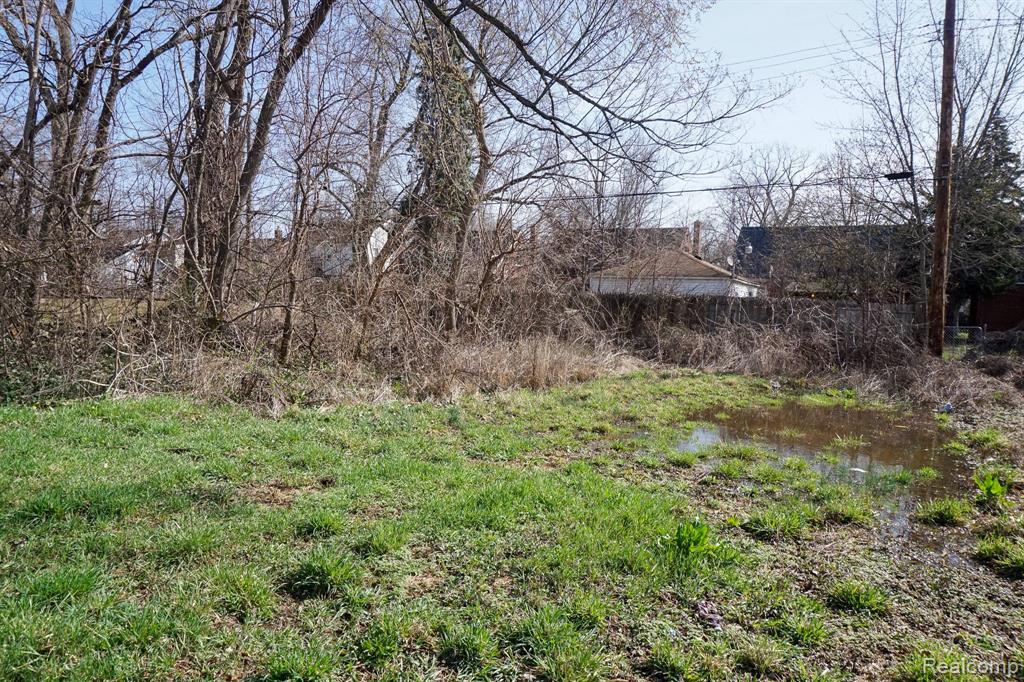 14630 SOUTHFIELD, Detroit, MI 48223 — Photo 6