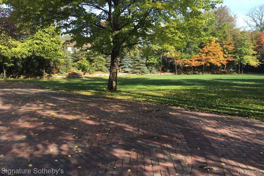 590A DUBUAR Street - Photo 4
