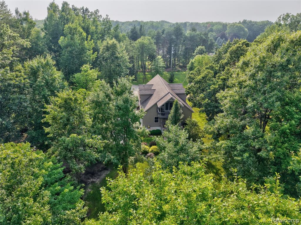 15055 Duffield Road, Byron, MI 48418 — Photo 9