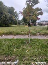 2208 Hibbard Street, Detroit, MI 48214 — Photo 2