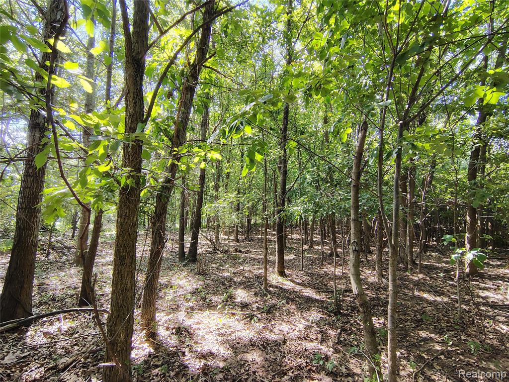 Parcel D Brigham Road, Goodrich Vlg, MI