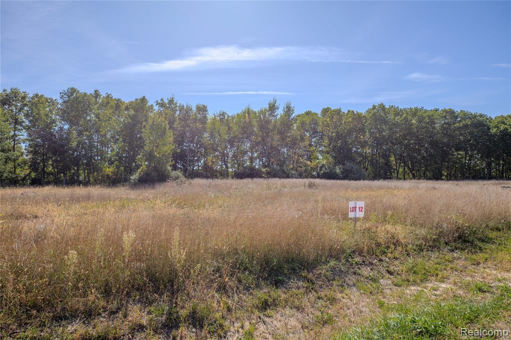4075 Metamora Ridge, Metamora, MI 48455 — Photo 48