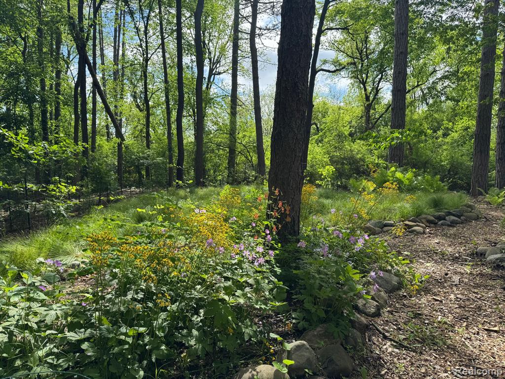 1827 HIGH HOLLOW Drive, Ann Arbor, MI 48103 — Photo 17