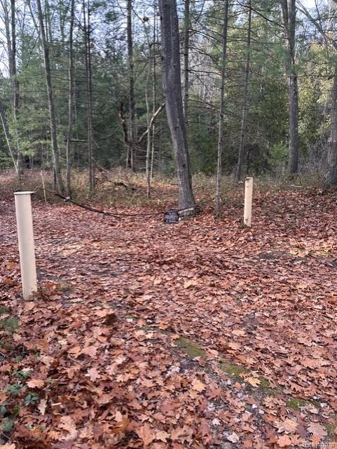VL W AuSable Point Road, Oscoda, MI 48750 — Photo 18