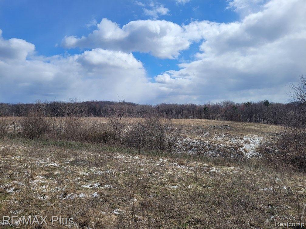 3400 S LAPEER Road, Metamora, MI 48455 — Photo 3