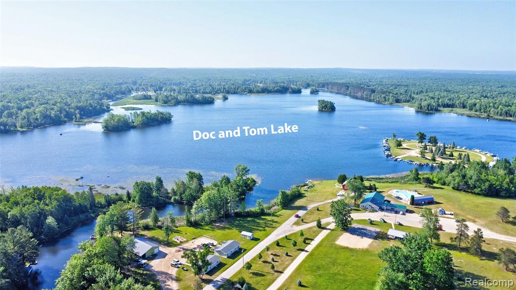 6250 Woodland Drive, Lake, MI 48632 — Photo 75