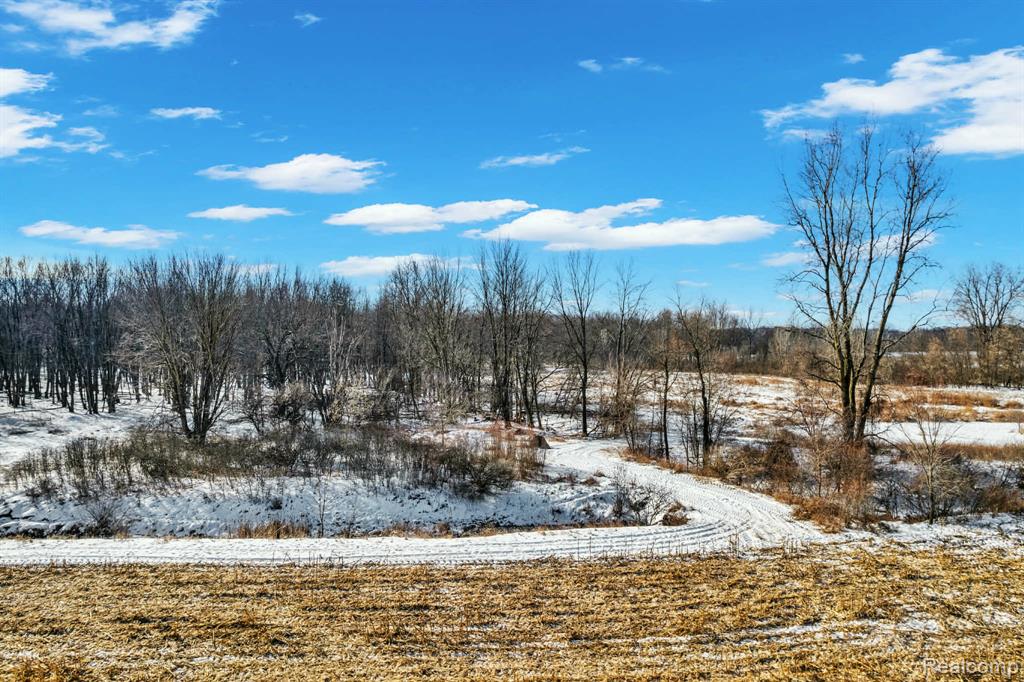 3766 Payne Road, Attica, MI 48412 — Photo 2