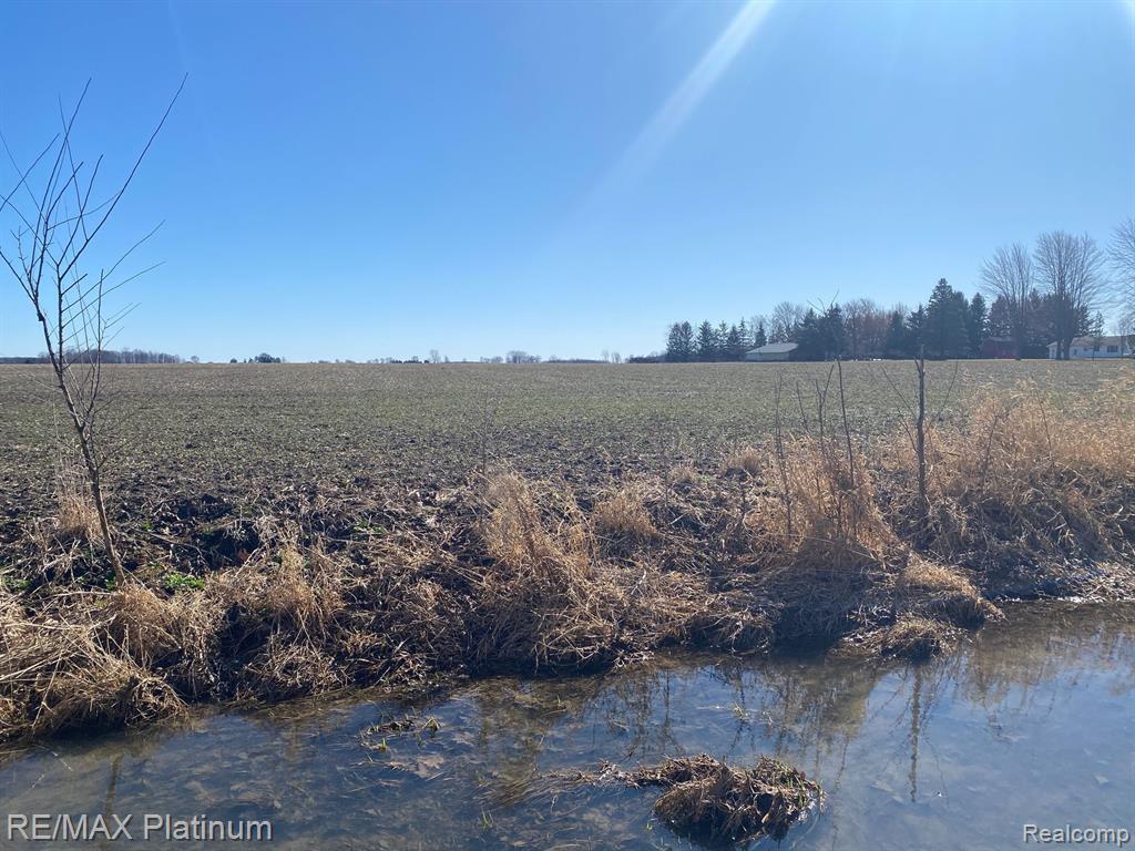 17801 CORUNNA Road, Chesaning, MI 48616 — Photo 26