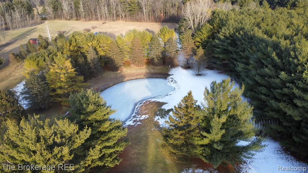 13405 Fagan Road, Holly, MI 48442 — Photo 5