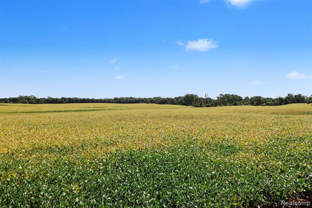 Parcel A N Hacker Road, Howell, MI 48843