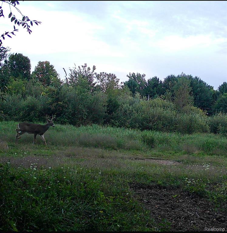 VACANT LAND S. PLAIN Road, Caro, MI 48723 — Photo 14