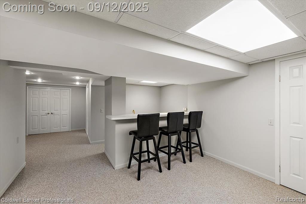 49238 Plum Tree Drive, Plymouth, MI 48170 — Photo 60