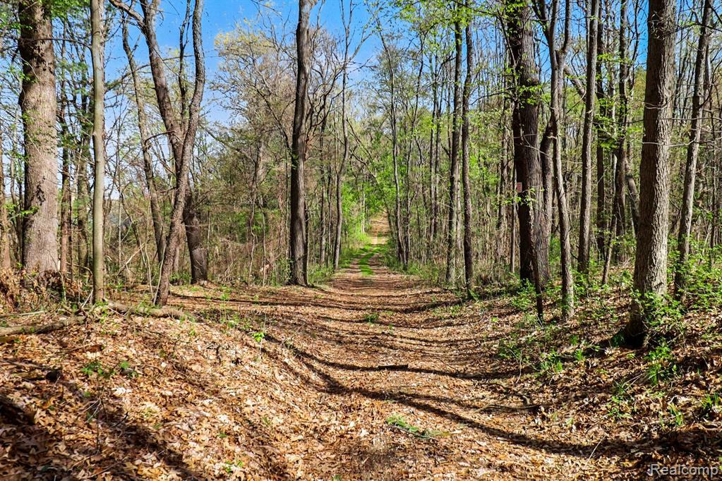 8815 Milford Road, Holly, MI 48442 — Photo 25