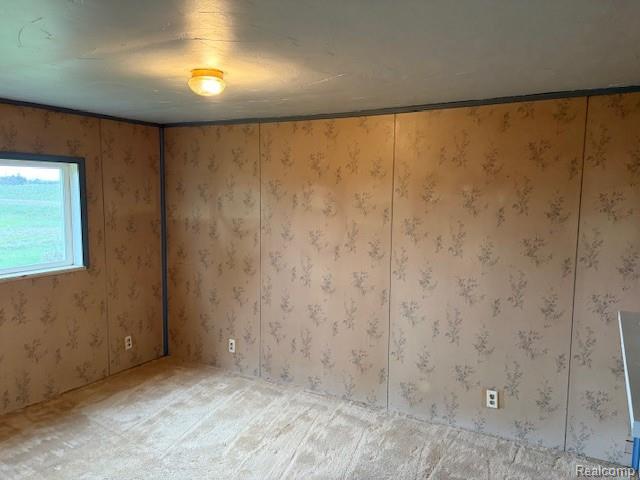 1300 Pitt Road, Bad Axe, MI 48413 — Photo 11