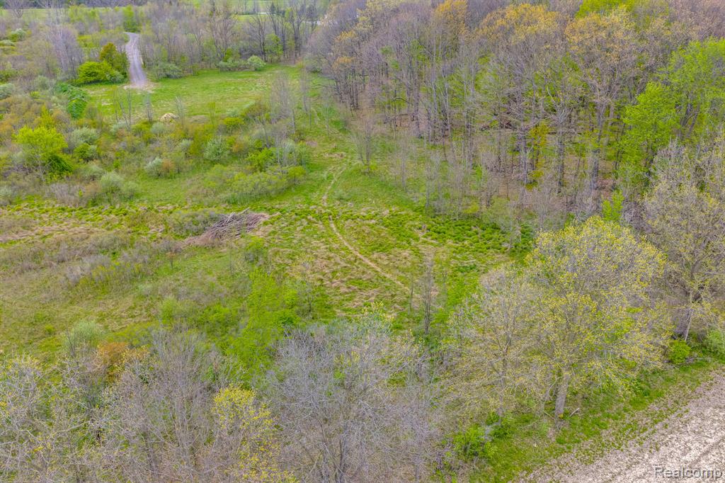 0 Martin Road, Avoca, MI 48014 — Photo 19