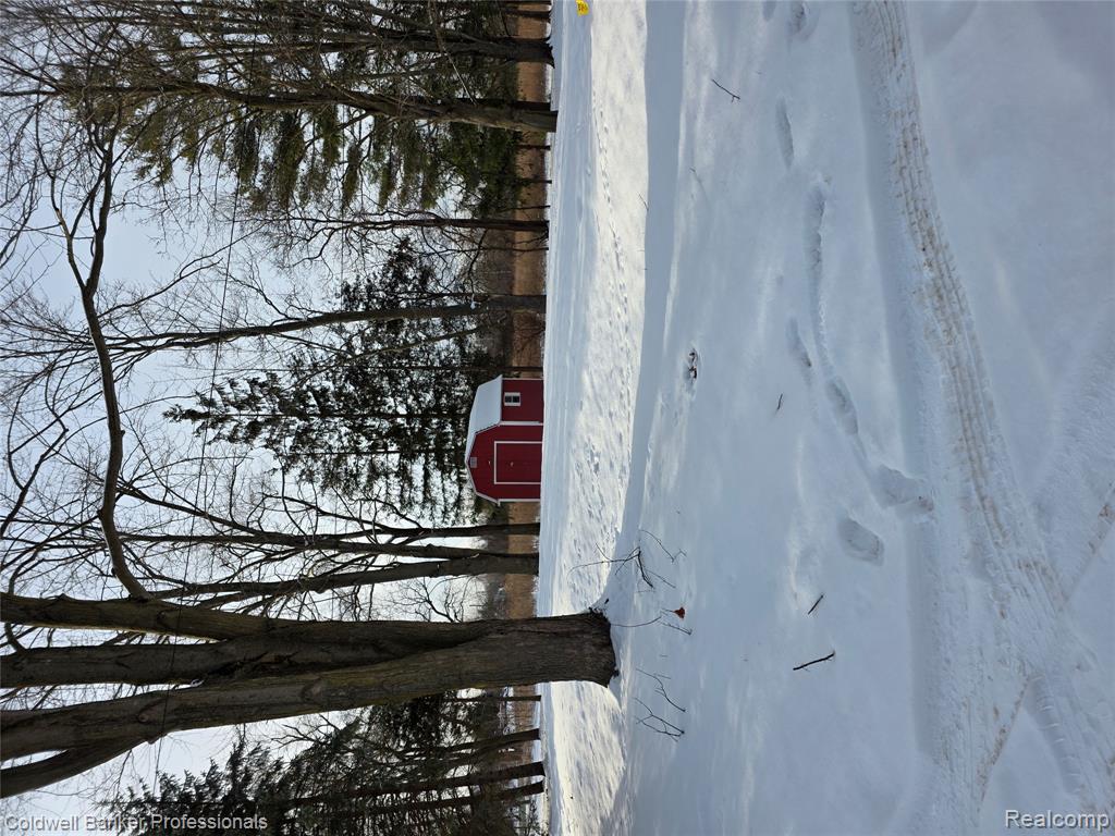 10485 Willis Road, Willis, MI 48191 — Photo 3