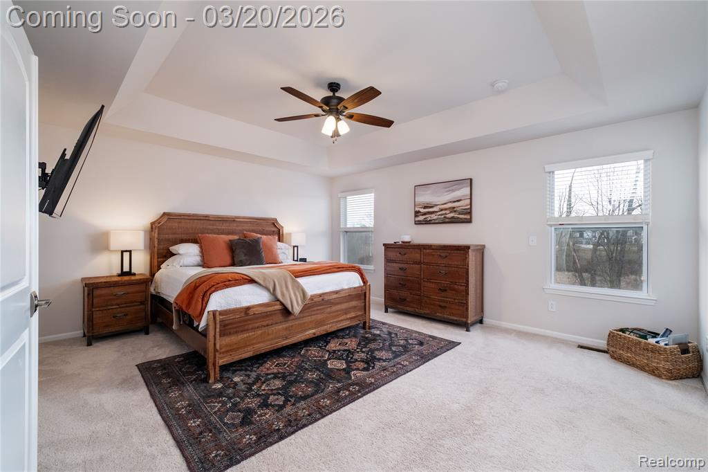 53211 Silver Birch Court, South Lyon, MI 48178 — Photo 33
