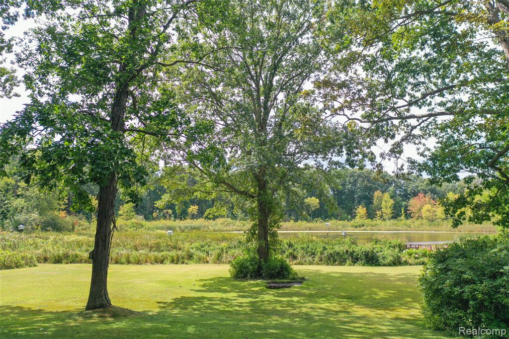 15000 Bishop Road, Byron, MI 48418 — Photo 12