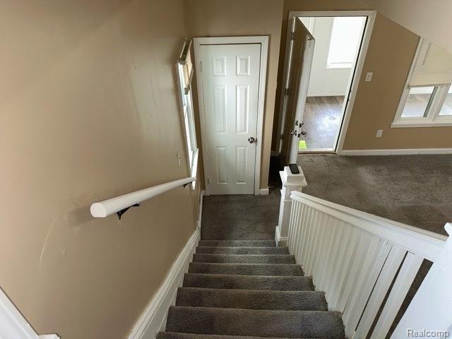 6561 Firwood Street, Detroit, MI 48210 — Photo 4