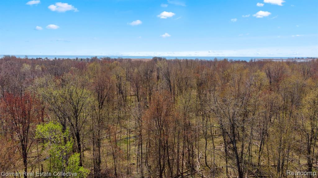 2228 E GORDON Road, Au Gres, MI 48703 — Photo 57