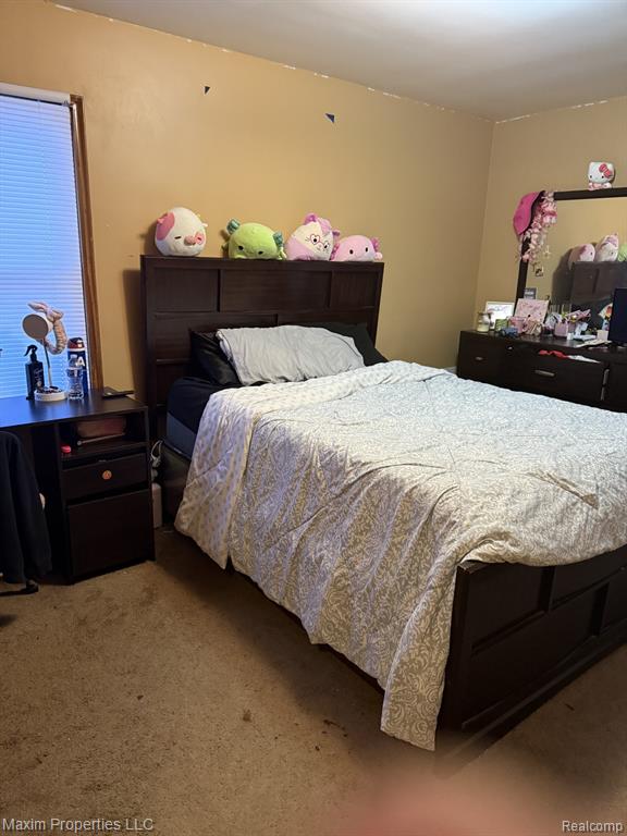 6240 W Outer Drive, Detroit, MI 48235 — Photo 13