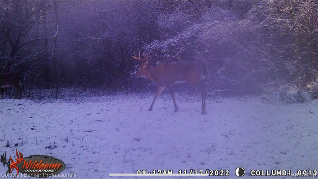 VL Columbiaville Road, Columbiaville, MI 48421 — Photo 26