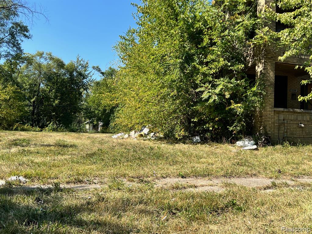 9359 Broadstreet Avenue, Detroit, MI 48204 — Photo 3