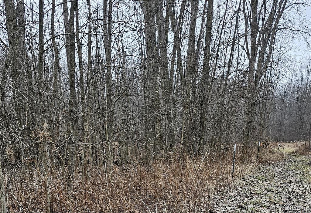 000 Chase Lake Rd, Fowlerville, MI 48836