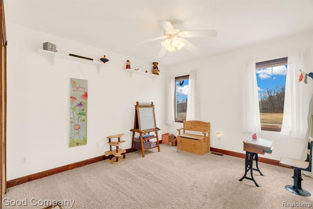 10700 LAMBS Road, Riley, MI — Photo 47