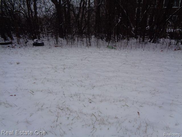 2691 ROCHESTER Street, Detroit, MI 48206 — Photo 15