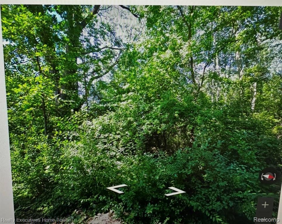 1788 Watson Street, Ypsilanti, MI 48198 — Photo 2