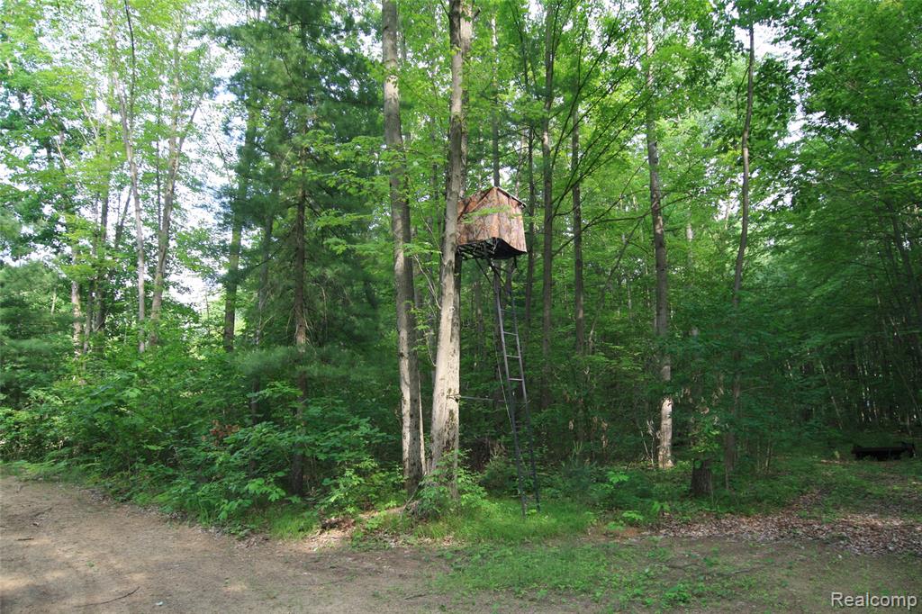 12850 East Road, Burt, MI 48417 — Photo 16