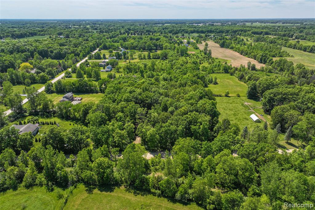 3075 Crandall Road, Howell, MI 48855 — Photo 4