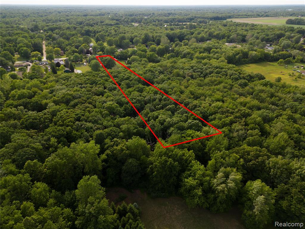 21515 Huron River Drive, New Boston, MI 48164 — Photo 58