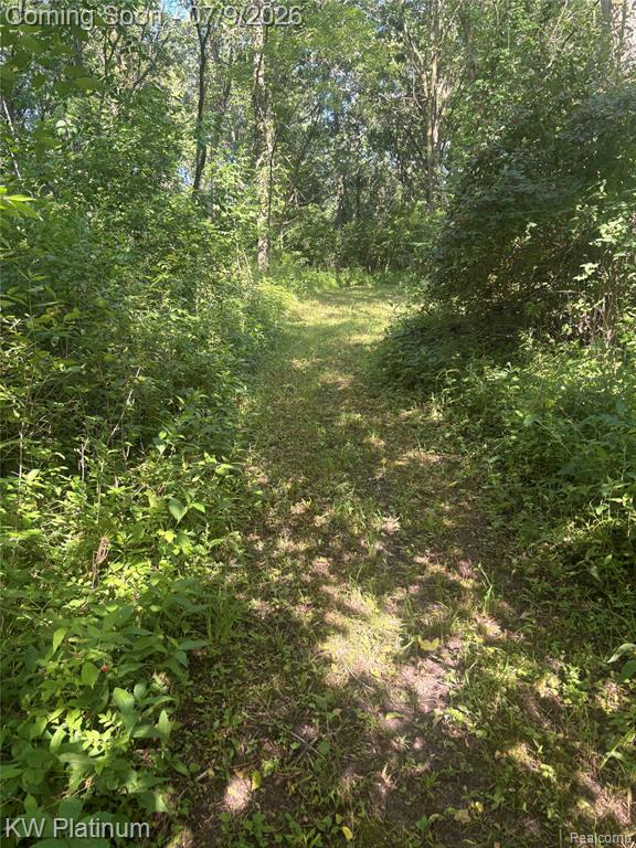 7280 North Road Road, Burtchville, MI 48059 — Photo 32